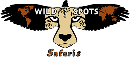 Wild Spots Safaris